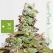 CBD Auto Compassion Lime Feminised 3ks
