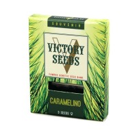 Caramelino Feminised 3ks