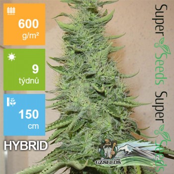 Big Bud Feminised 1ks
