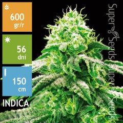 Hypnotic Feminised 10ks