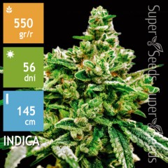 White Widow Feminised 10ks