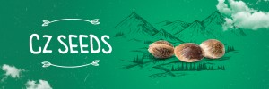 Akce 3+1 na Spanna Seeds a CZ seeds