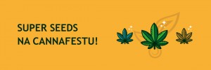 Super Seeds na Cannafestu!