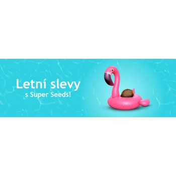 Letní slevy