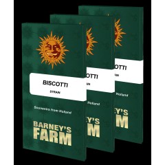 Biscotti Feminised 10ks