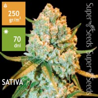 Special Crystal Haze Feminised 100ks
