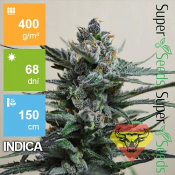 Auto Blueberry SV 1ks