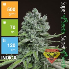 Auto Super Skunk Feminised 1ks