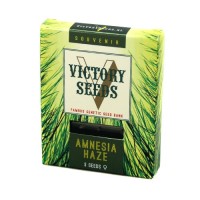 Amnesia Haze Feminised 3ks