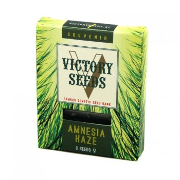 Amnesia Haze Feminised 3ks