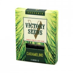 Caramelino Feminised 3ks