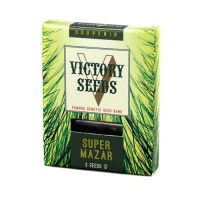 Super Mazar Feminised 3ks