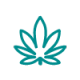 Indica