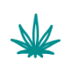 Sativa