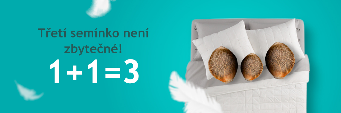 Třetí balení/semínko je zdarma!
