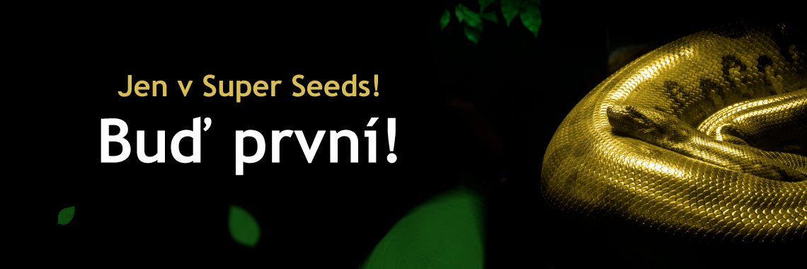 Anaconda Seeds jen u nás